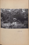 Ewidencja parkowa, skan nr 60
