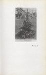Ewidencja parkowa, skan nr 42