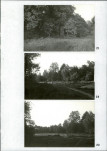 Ewidencja parkowa, skan nr 33