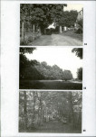 Ewidencja parkowa, skan nr 38