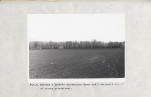 Ewidencja parkowa, skan nr 28
