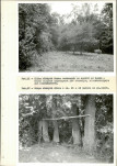Ewidencja parkowa, skan nr 33
