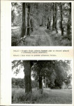 Ewidencja parkowa, skan nr 35