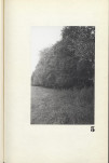 Ewidencja parkowa, skan nr 19
