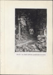 Ewidencja parkowa, skan nr 30