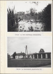 Ewidencja parkowa, skan nr 31
