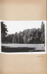 Ewidencja parkowa, skan nr 49