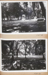 Ewidencja parkowa, skan nr 52