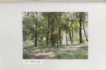Ewidencja parkowa, skan nr 50
