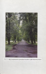 Ewidencja parkowa, skan nr 52