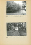 Ewidencja parkowa, skan nr 26