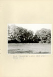 Ewidencja parkowa, skan nr 34