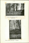 Ewidencja parkowa, skan nr 29