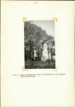 Ewidencja parkowa, skan nr 31