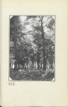 EP - Ewidencja parkowa, skan nr 22