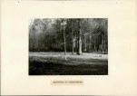 EP - Ewidencja parkowa, skan nr 34