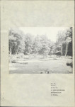 Ewidencja parkowa, skan nr 86