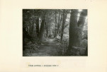 EP - Ewidencja parkowa, skan nr 28
