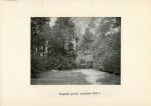 EP - Ewidencja parkowa, skan nr 29