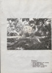 Ewidencja parkowa, skan nr 56
