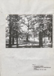Ewidencja parkowa, skan nr 57