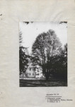 Ewidencja parkowa, skan nr 62