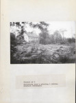 Ewidencja parkowa, skan nr 40