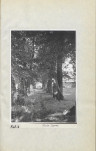 Ewidencja parkowa, skan nr 23