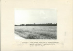 EP - Ewidencja parkowa, skan nr 15