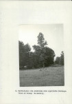 EP - Ewidencja parkowa, skan nr 36