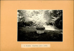 EP - Ewidencja parkowa, skan nr 31
