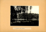 EP - Ewidencja parkowa, skan nr 32