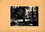 EP - Ewidencja parkowa, skan nr 35