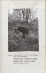 EP - Ewidencja parkowa, skan nr 16