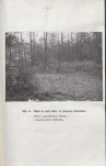 EP - Ewidencja parkowa, skan nr 22