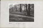 EP - Ewidencja parkowa, skan nr 21