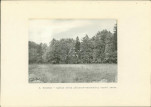 EP - Ewidencja parkowa, skan nr 21