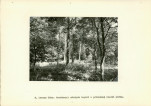 EP - Ewidencja parkowa, skan nr 30