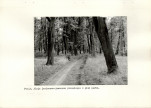 Ewidencja parkowa, skan nr 16
