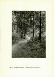 Ewidencja parkowa, skan nr 17