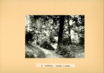 EP - Ewidencja parkowa, skan nr 23