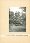 EP - Ewidencja parkowa, skan nr 28
