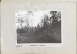 EP - Ewidencja parkowa, skan nr 21