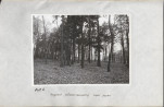 EP - Ewidencja parkowa, skan nr 24