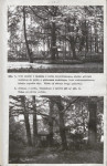EP - Ewidencja parkowa, skan nr 24