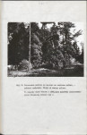 EP - Ewidencja parkowa, skan nr 26