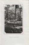 Ewidencja parkowa, skan nr 25