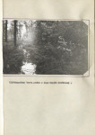 EP - Ewidencja parkowa, skan nr 31