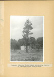 Ewidencja parkowa, skan nr 19