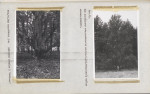 EP - Ewidencja parkowa, skan nr 54